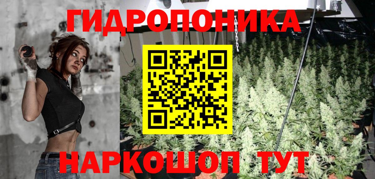 Шишки марихуана семена  Вход с VPN  МАРИХУАНА MAZAR  Каннабис LSD WEED  Скопин  Шишки марихуана VHQ 